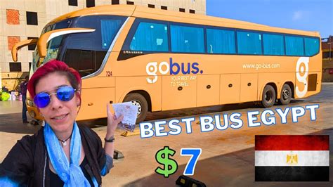 THE 10 BEST Cairo Bus Tours .